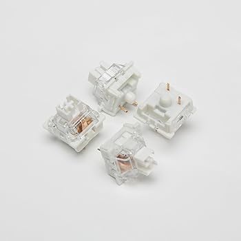 51LS+R0TnyL._AC_UF350,